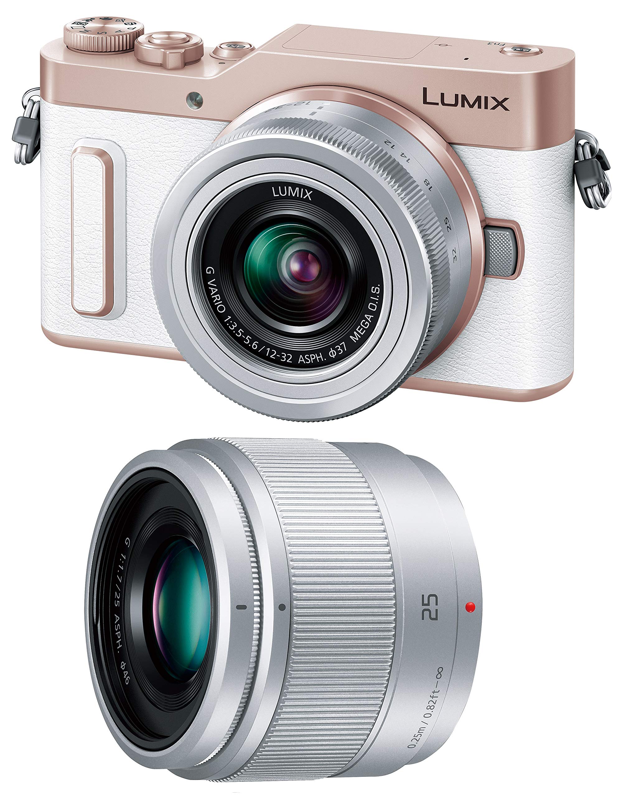 ミラーレス一眼 Lumix GF-1（シルバー）●レンズ無し　※生産終了品Panasonic